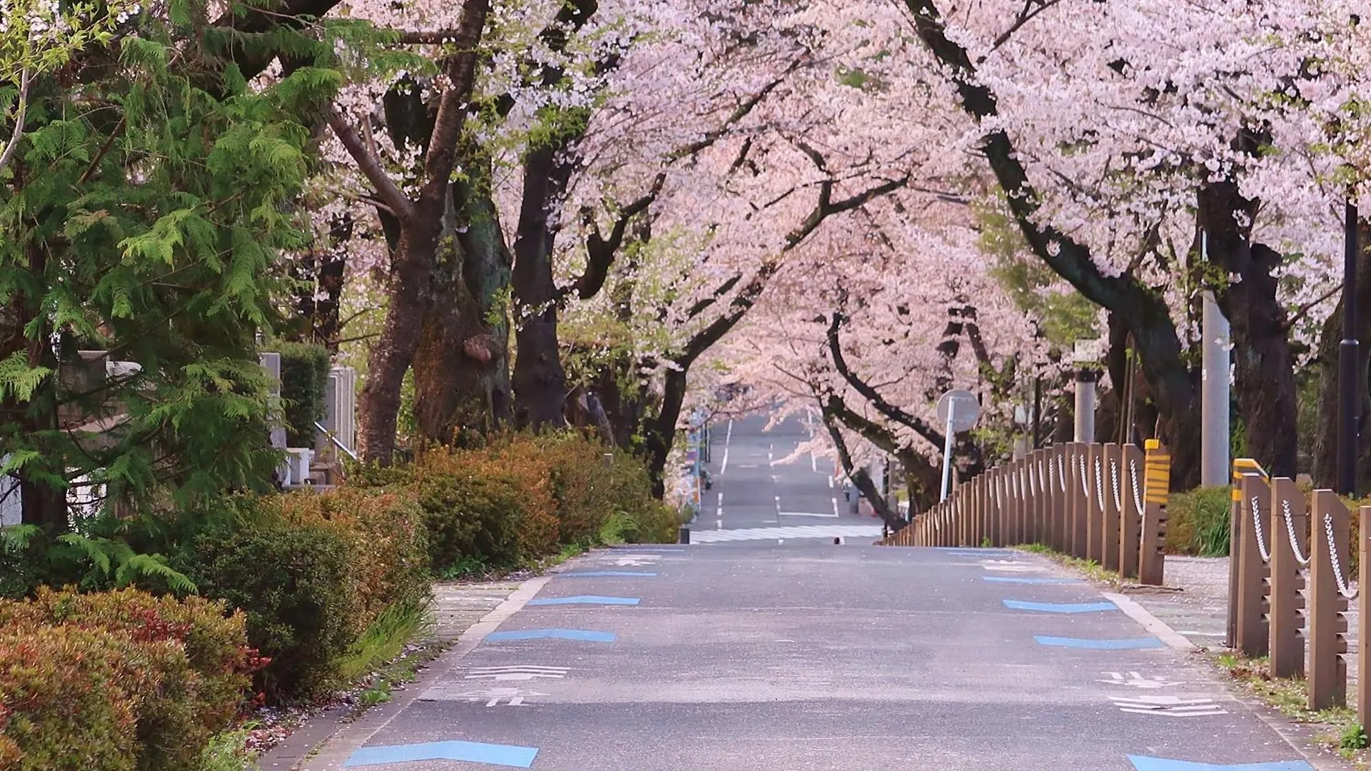 东京繁花青山酒店 東京都 日本